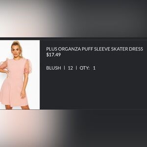 PLUS ORGANZA PUFF SLEEVE SKATER DRESS